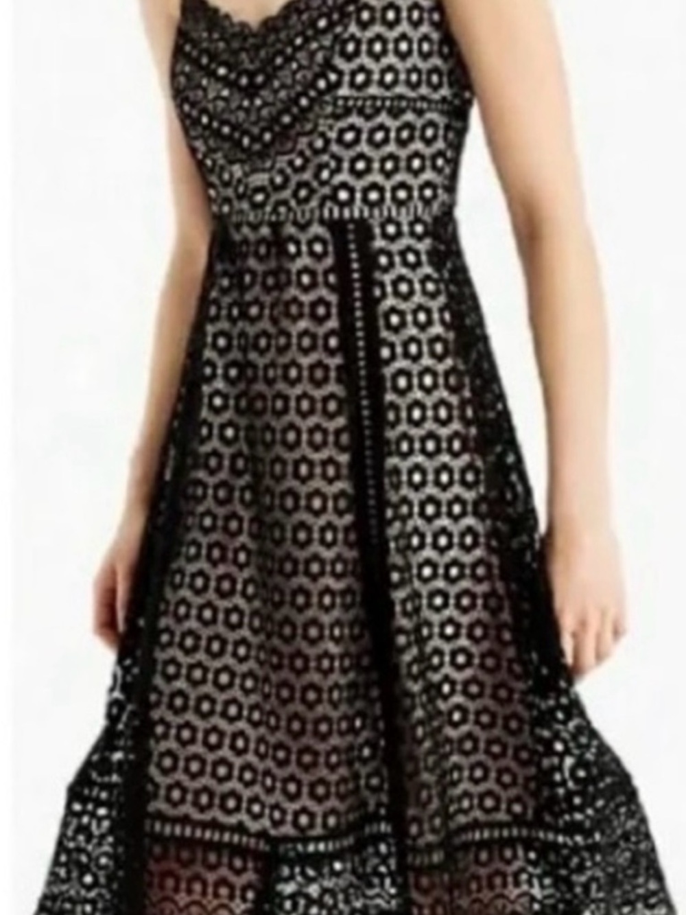 J. Crew Black Daisy Lace Fit-and-Flare Dress - Picture 2 of 11